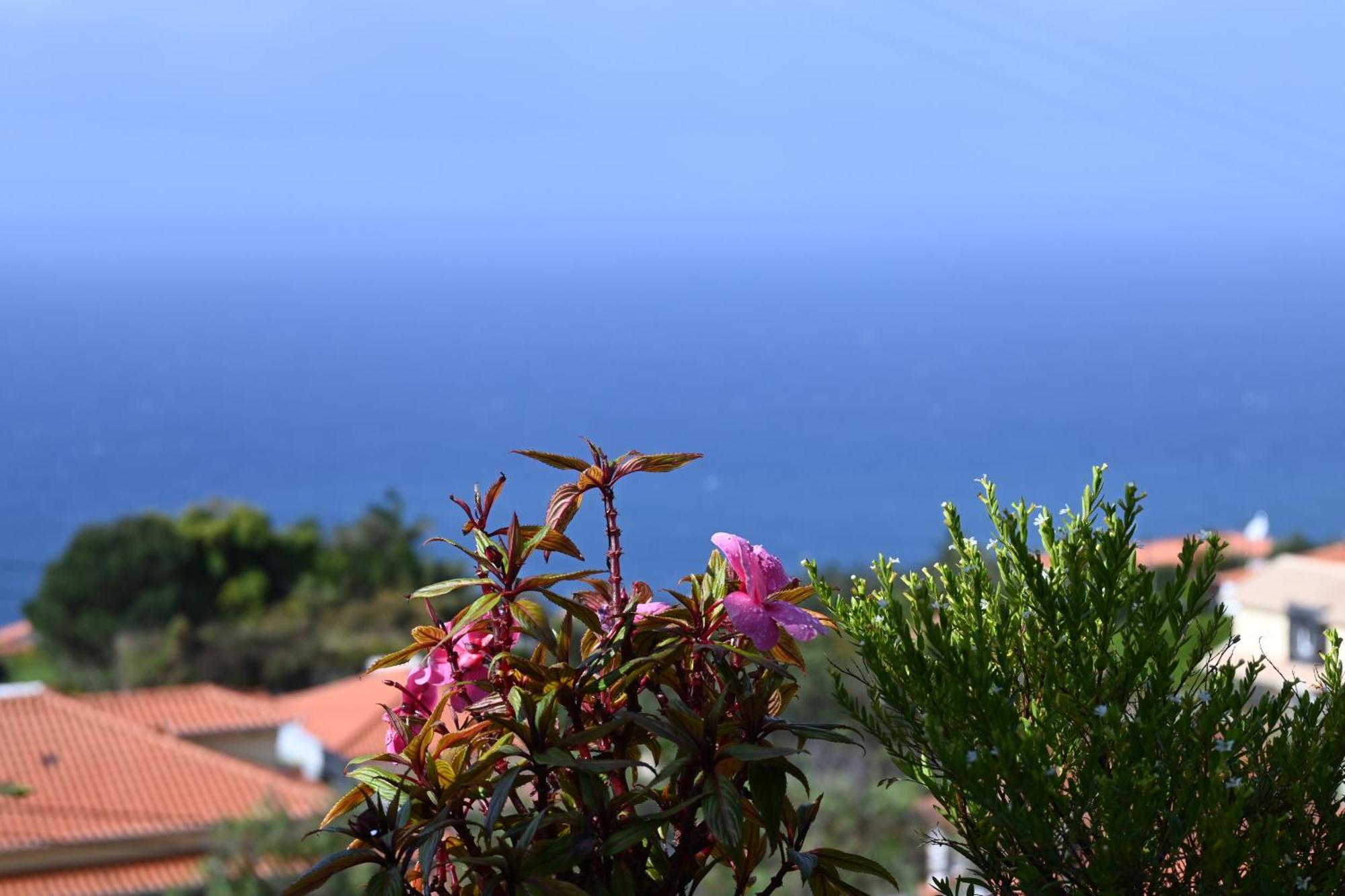 Vista Romantica Madeira Arco da Calheta (Madeira) Exterior foto